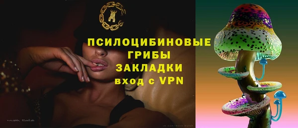 крисы Арсеньев
