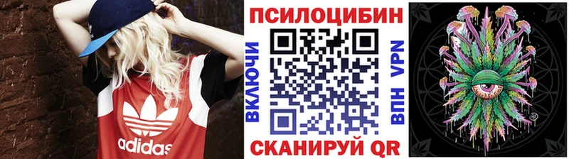 где можно купить наркотик  Чайковский  Галлюциногенные грибы GOLDEN TEACHER 